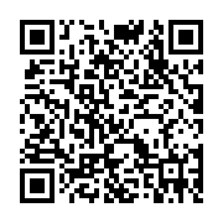 QR code for DZX002