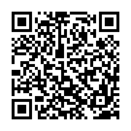QR code for DZX016