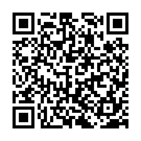 QR code for EFF234