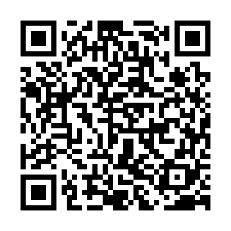 QR code for ELE368