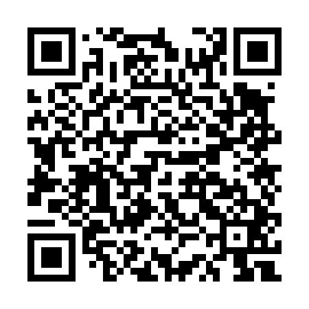 QR code for ESO441
