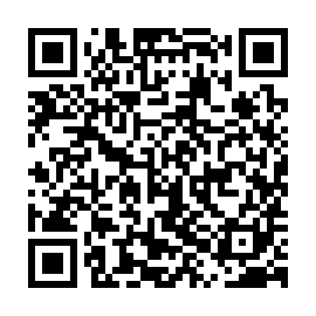 QR code for EXI381
