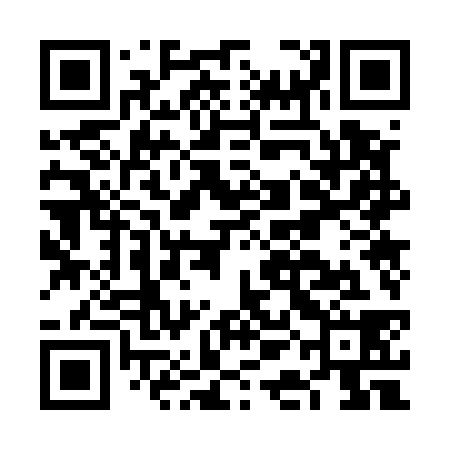 QR code for FAO538