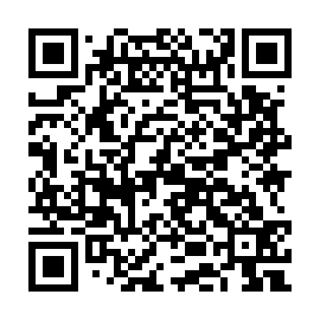 QR code for FEI533