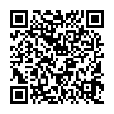 QR code for FEM919