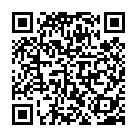 QR code for FEW439