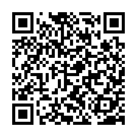 QR code for FGV308