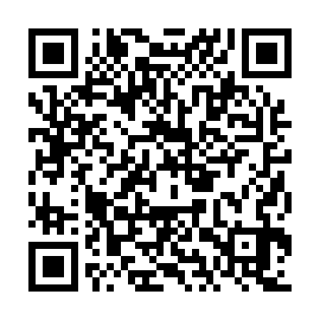 QR code for FIR133