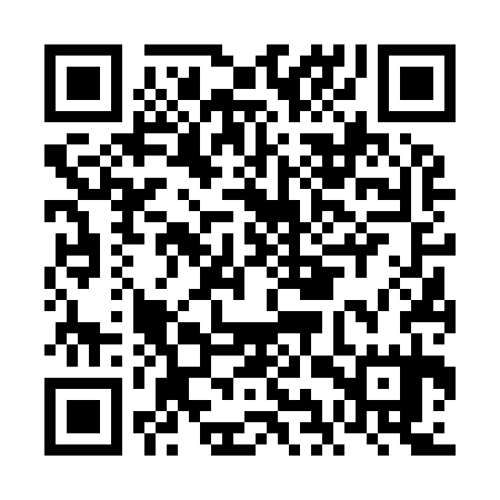 QR code for FIV935
