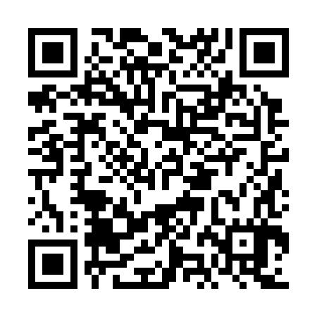 QR code for FJJ387