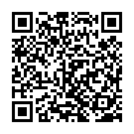 QR code for FJJ428