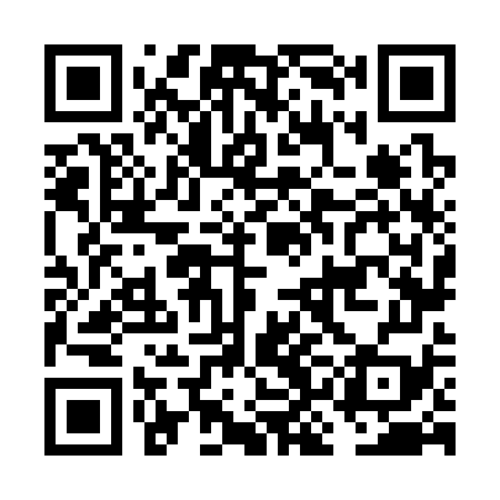 QR code for FKN379
