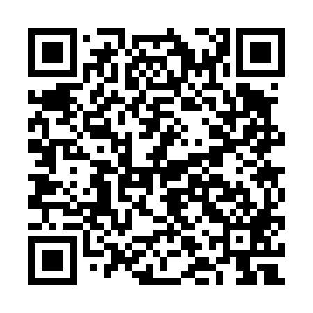 QR code for FLS489