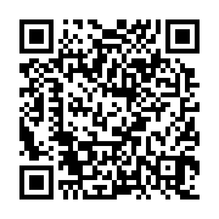 QR code for FLV300