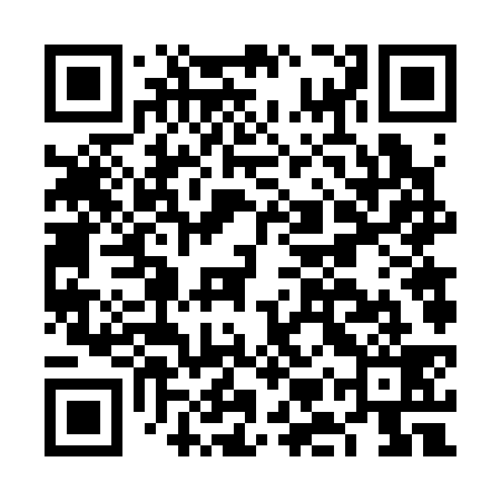 QR code for FMV339