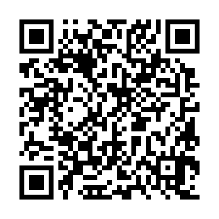 QR code for FPE384