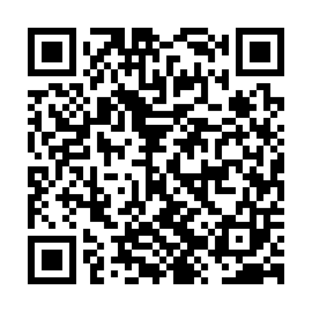 QR code for FZU303