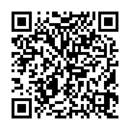 QR code for GBM863