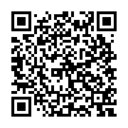 QR code for GCZ311