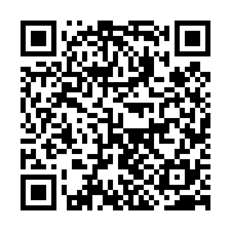 QR code for GIF435