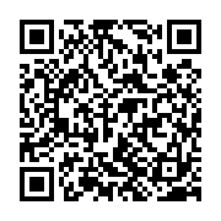 QR code for GJI533