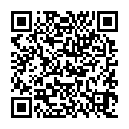 QR code for GQT381