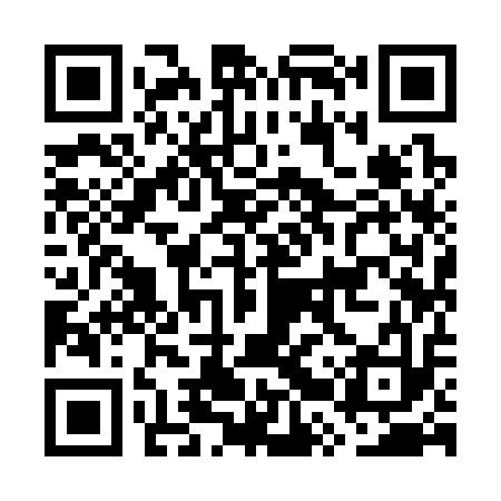 QR code for GRY313