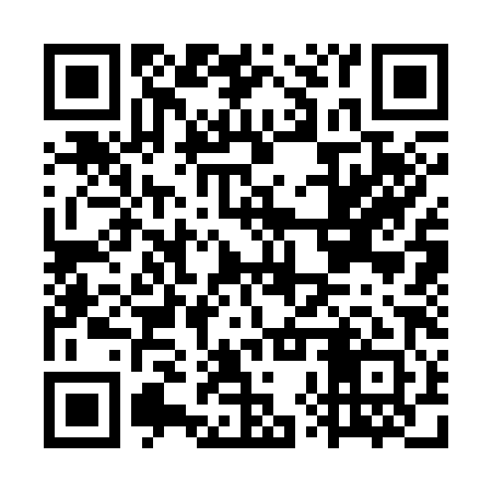 QR code for GXS381