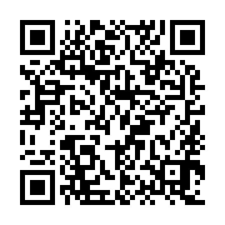 QR code for HAN990