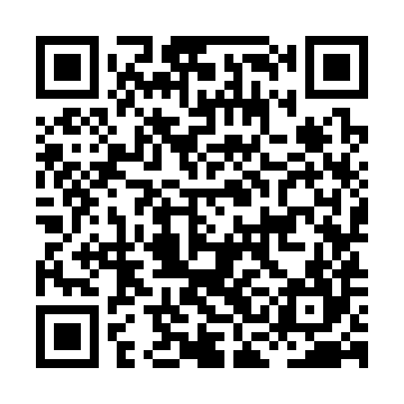 QR code for HCK384