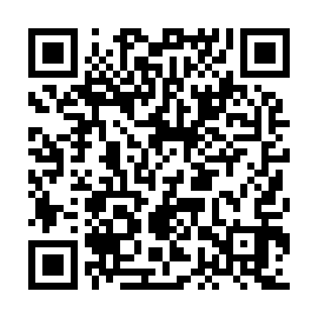QR code for HGP913
