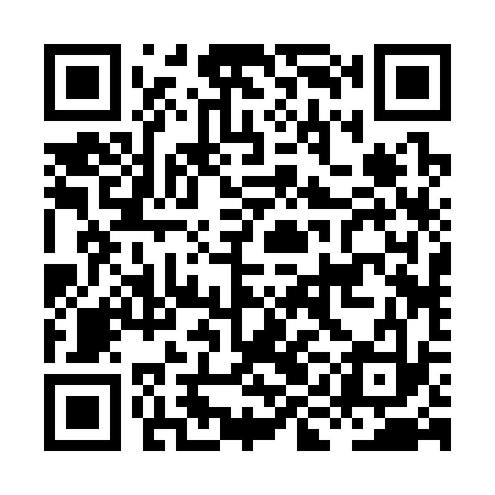 QR code for HIB333