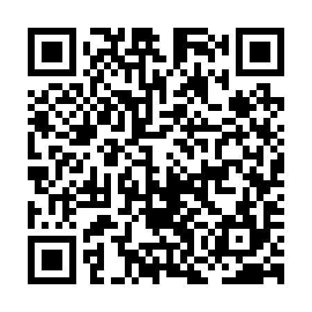 QR code for HOG294