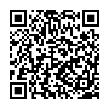 QR code for HPJ313
