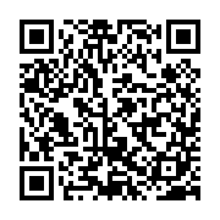 QR code for HPV041