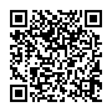QR code for HSE318