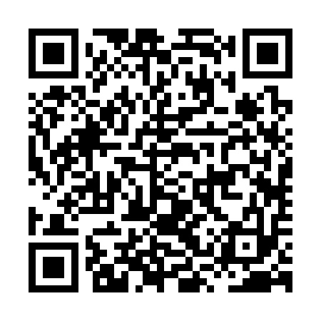 QR code for HSR313