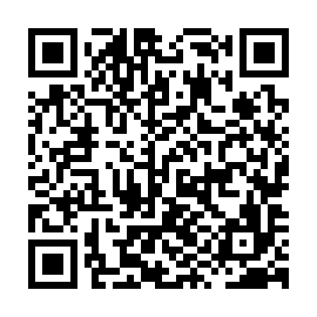 QR code for HYN396