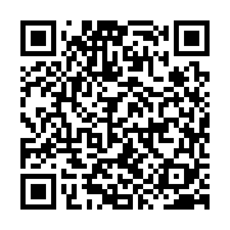 QR code for HYY369