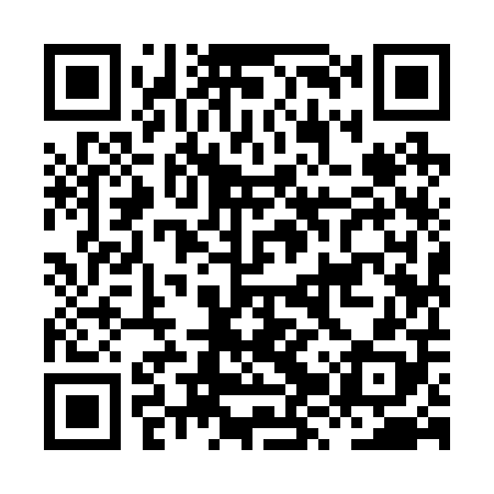 QR code for HZY208
