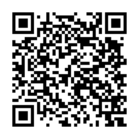 QR code for HZZ419