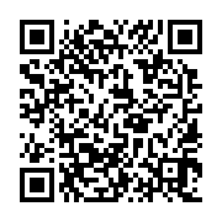 QR code for IAO310