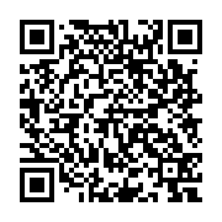 QR code for IAP133