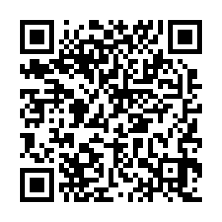 QR code for IAT233