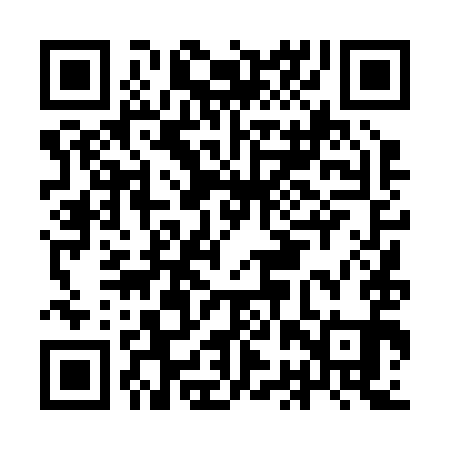 QR code for IBT291