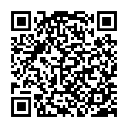 QR code for ICO285