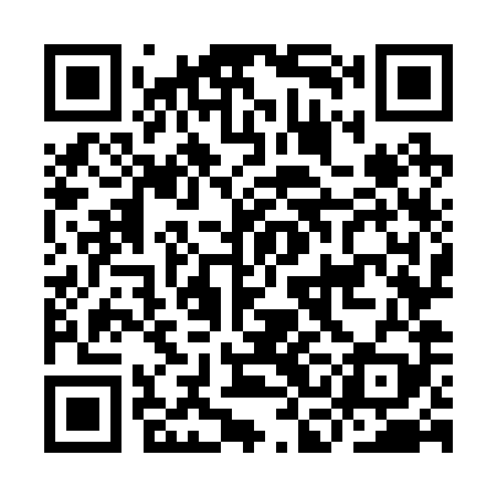 QR code for ICO289