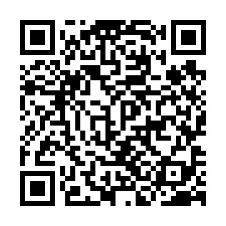 QR code for ICO699