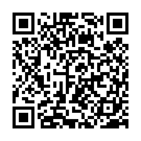 QR code for IEE461