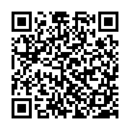 QR code for IFN341